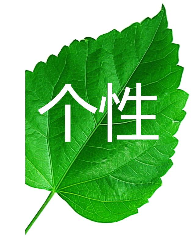 伊诗泰莱个性化定制