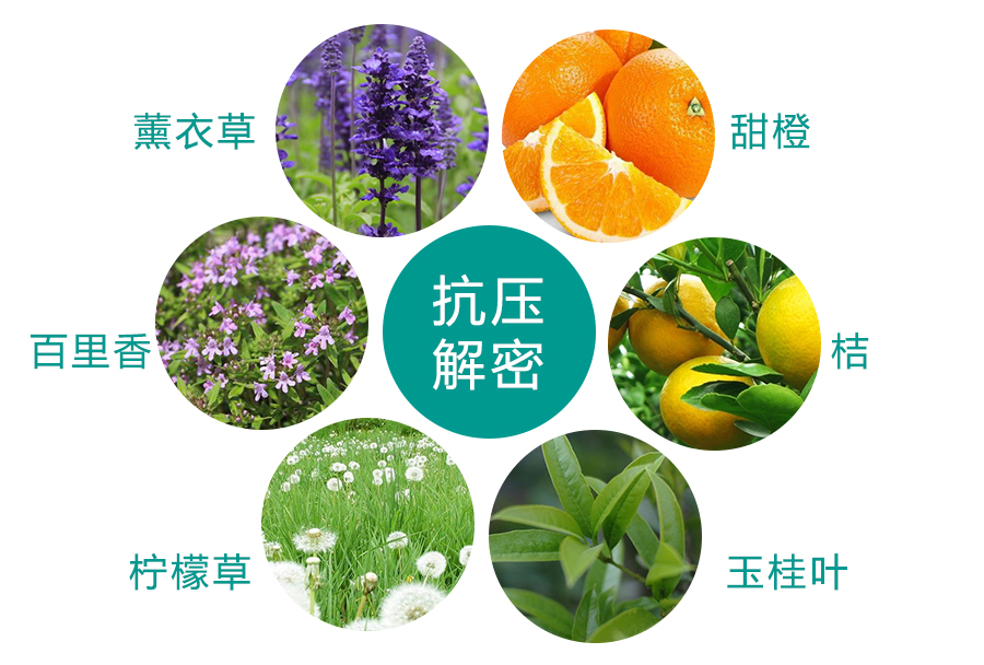 伊诗泰莱,身随香动