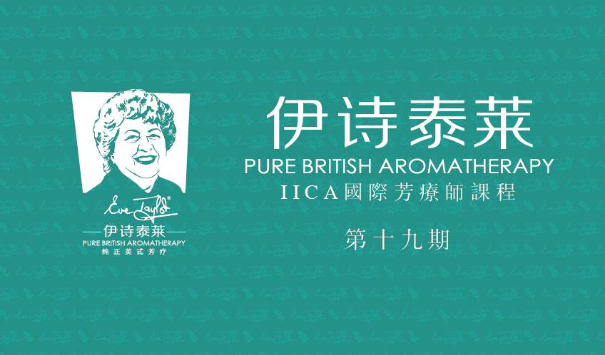 伊诗泰莱、IICA、培训